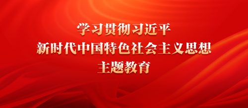 学习贯彻习近平新时代中国特色社会主义思想主题教育